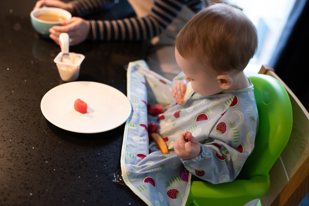 Bavoir manches longues à ventouses | Fruits