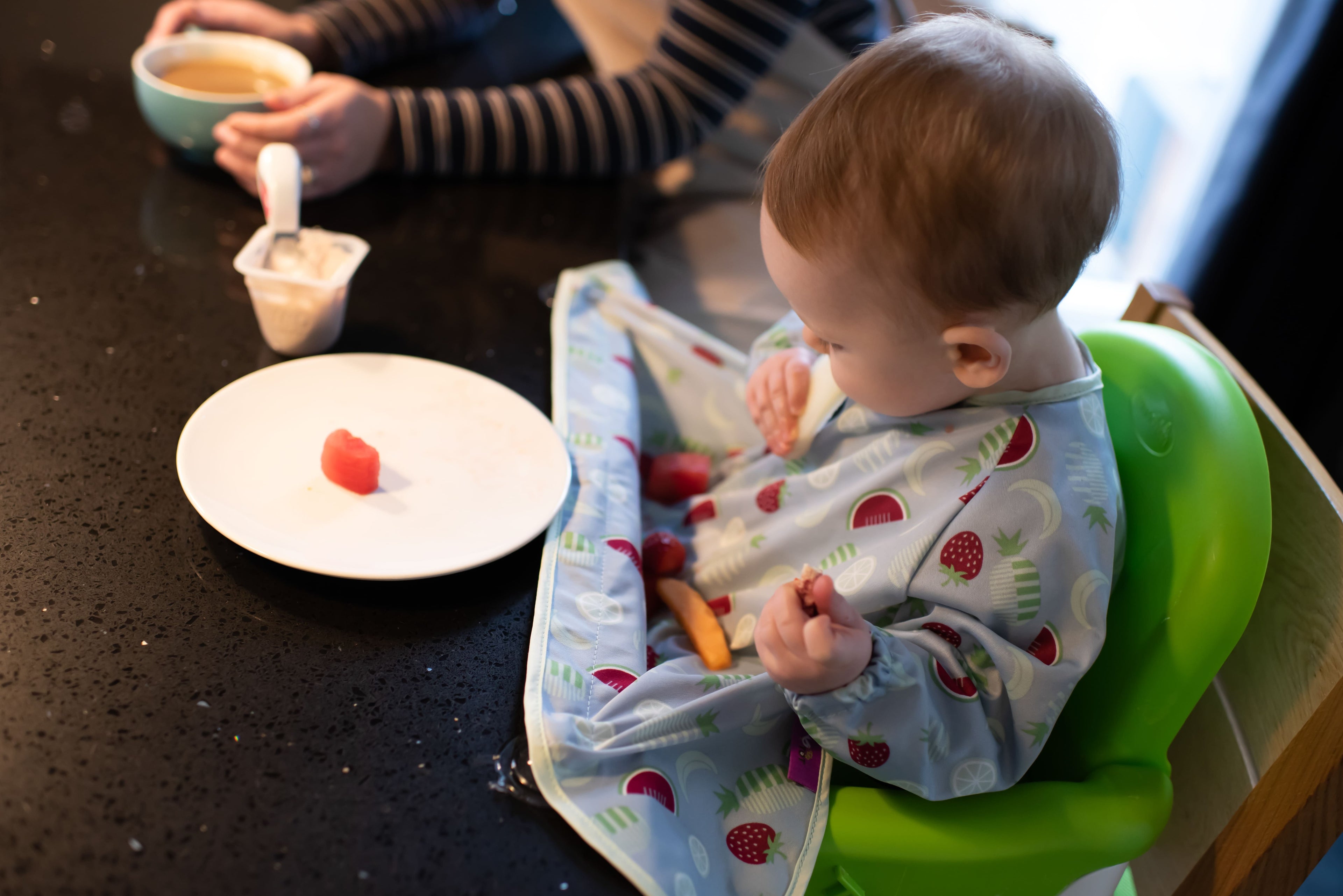 Bavoir manches longues à ventouses | Fruits