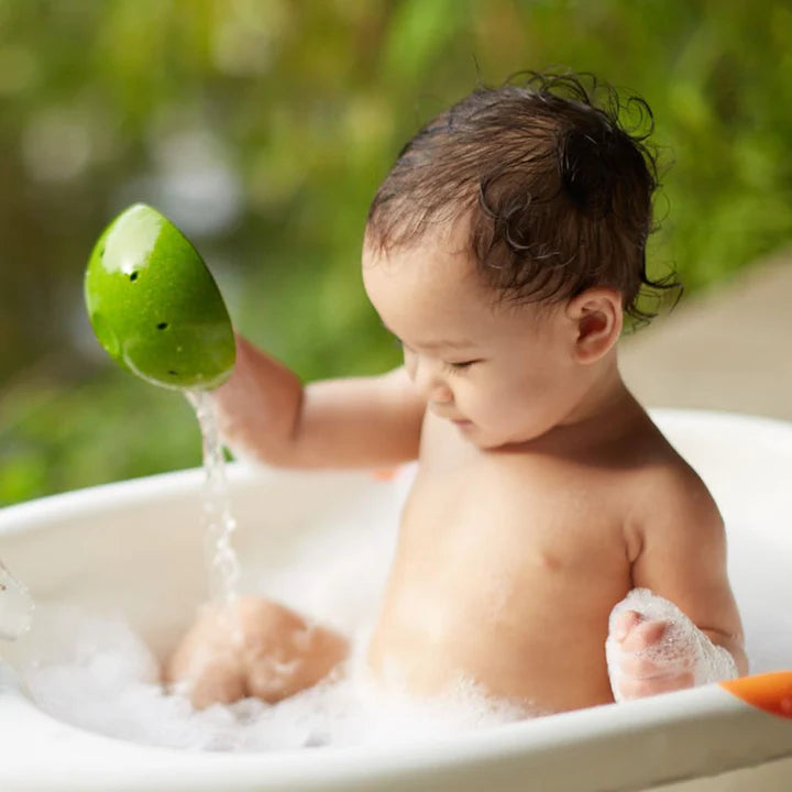 Bols fontaine d'eau en sciure de bois recyclée