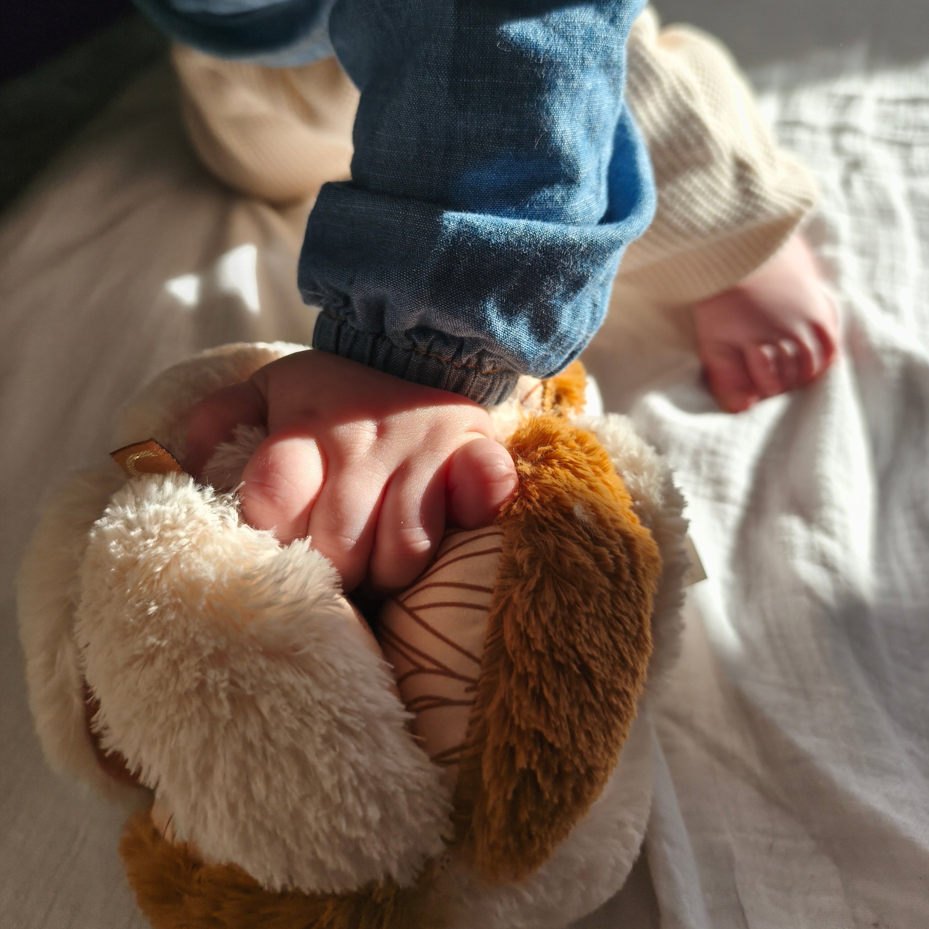 Balle de préhension en sherpa | Orsino