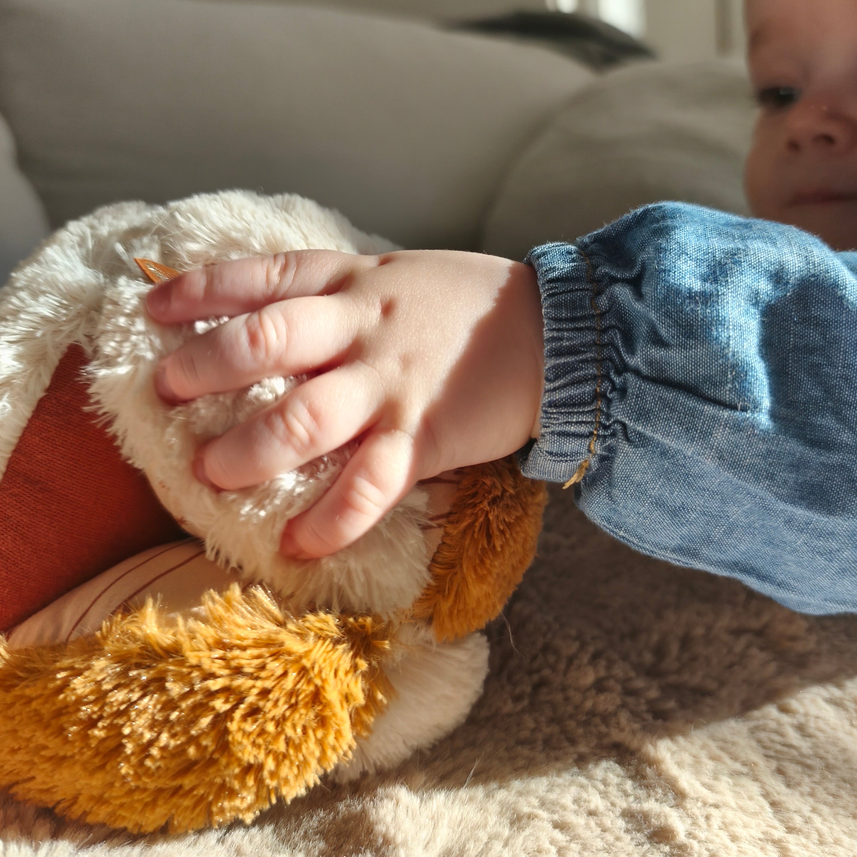 Balle de préhension en sherpa | Orsino